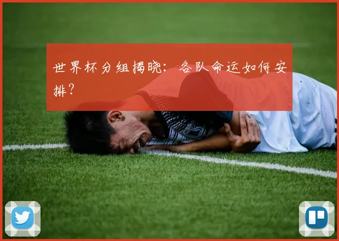 世界杯分组揭晓：各队命运如何安排？