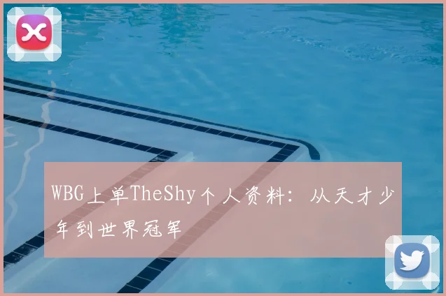 WBG上单TheShy个人资料:从天才少年到世界冠军