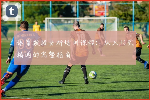 体育数据分析培训课程:从入门到精通的完整指南